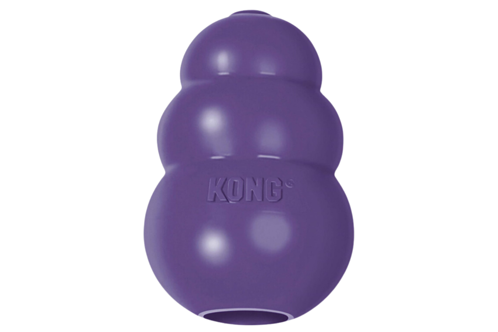 KONG senior dog toy