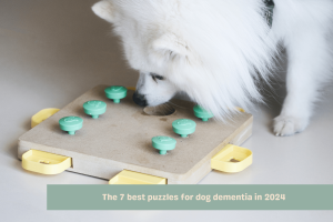 banner best puzzles for dogs in 2024-min
