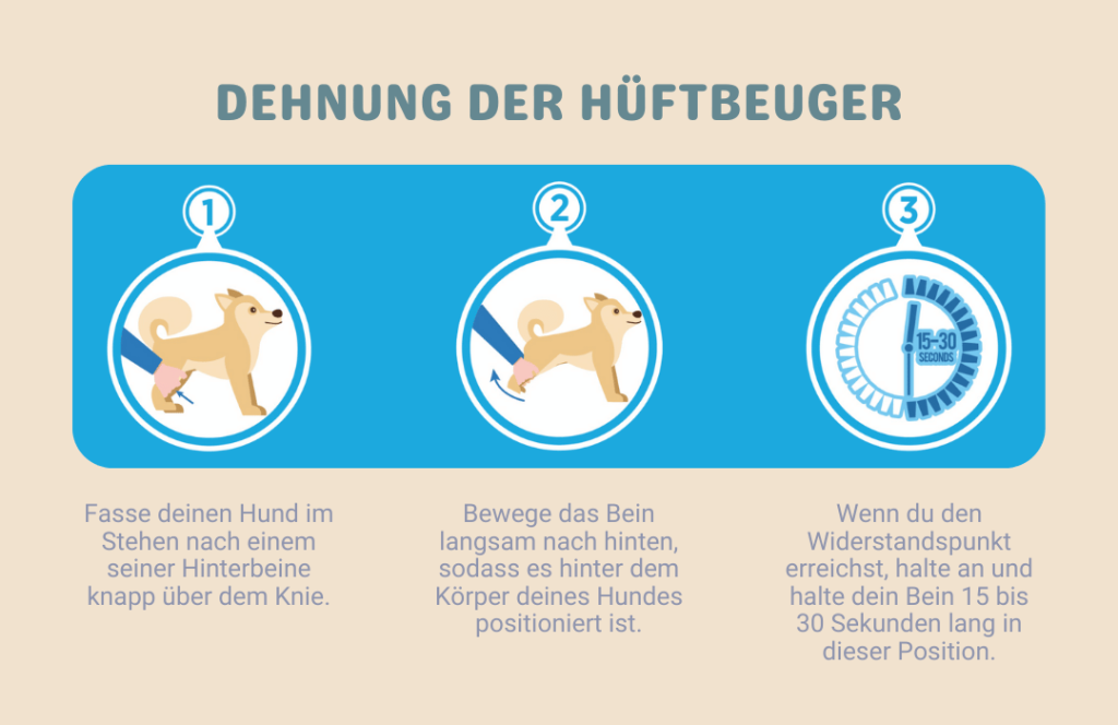 Hüftbeuger-Dehnung