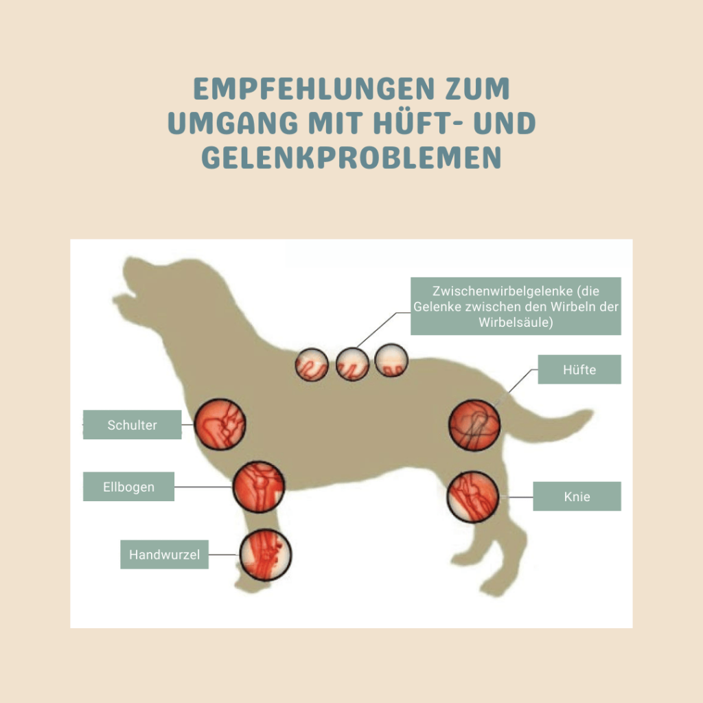 Arthritis oder Gelenkentzündung
