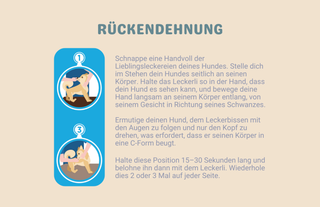 Rücken-Dehnung