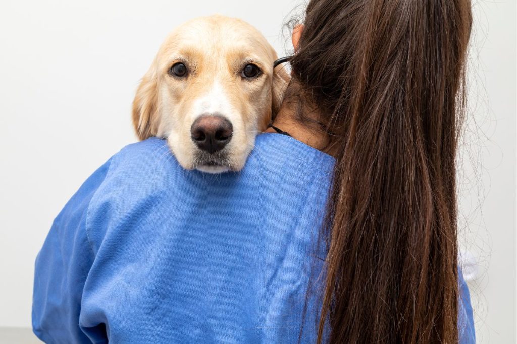 UrinaQur Compatible con terapias veterinarias
