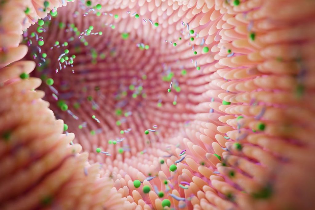 PicorFix Probioticos APOYO INTESTINAL